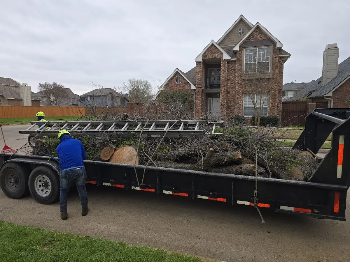 Expert Tree Removal with proper safety equipment in Faison